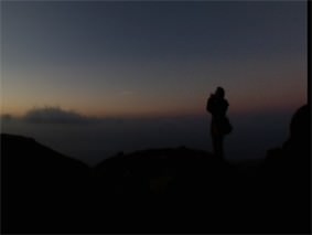 Francesca Phillips – Written in the wind