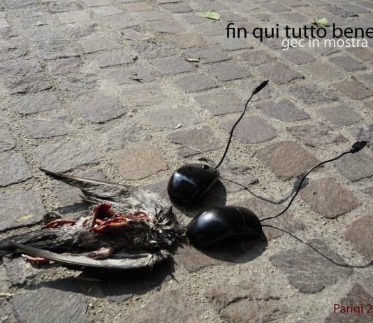 Gec Art – Fin qui tutto bene