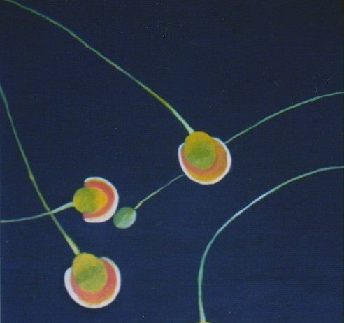 Letizia Cimadori – Bio-astrattismo