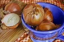 Roberta Dallara – La bellezza del quotidiano