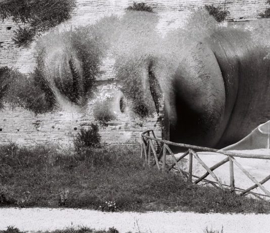 Roberto Recanatesi – Lo sguardo enigmatico