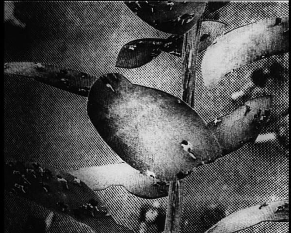 Thomas Bayrle – Documentation of Rubbertree 1993https://www.exibart.com/repository/media/eventi/2010/10/thomas-bayrle-8211-documentation-of-rubbertree-1993.jpg