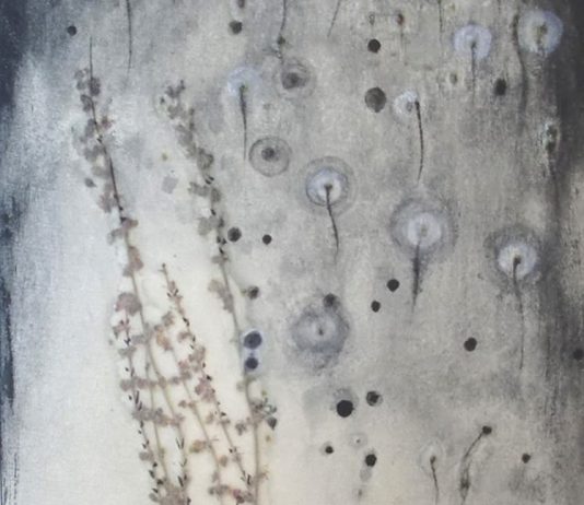 Yukoh-Nel bosco per caso