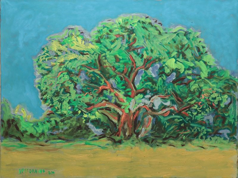 Aldo Pecorainohttps://www.exibart.com/repository/media/eventi/2010/11/aldo-pecoraino.jpg