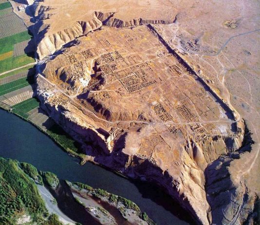 Esperienze e riflessioni per la salvaguardia del patrimonio archeologico. Il caso di Dura Europos