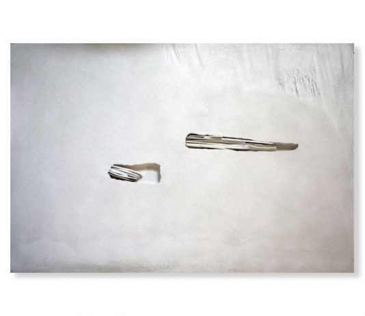 Franco Guerzoni – Impossibili Restauri