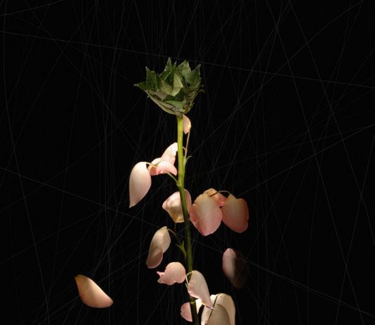 Gabriele Marsile – Tagliati fuori