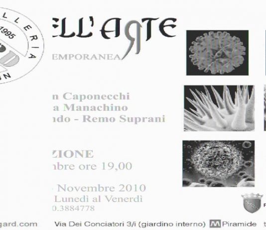 Il Virus Dell’Arte