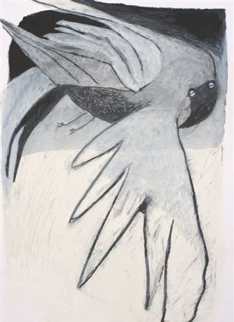 Maria Cecilia Di Vincenzo – Sguardi attraverso