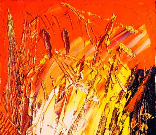 Pier Domenico Magri – Solo Scudo