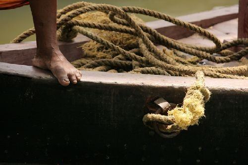 Pietro Celesia – In cammino