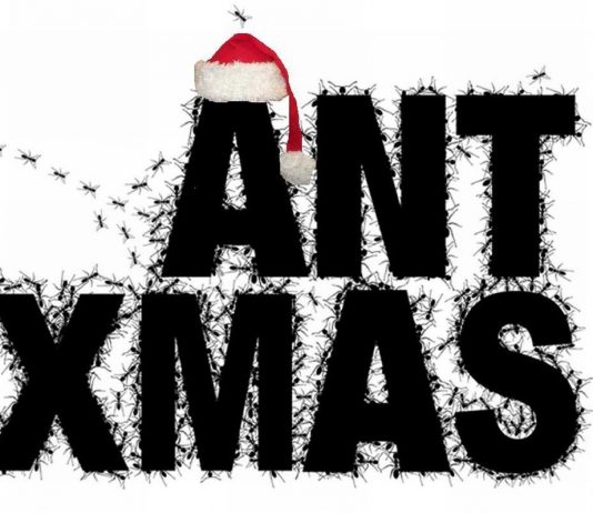 Ant Xmas