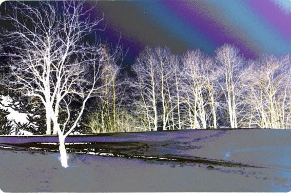 Cristina Mantisihttps://www.exibart.com/repository/media/eventi/2010/12/cristina-mantisi.jpg