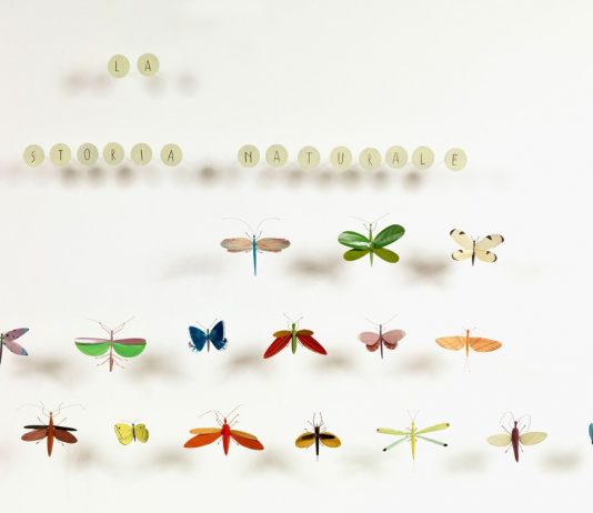 Francesco Bocchini – La Storia Naturale