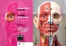 Jacopo Farina – Portraits