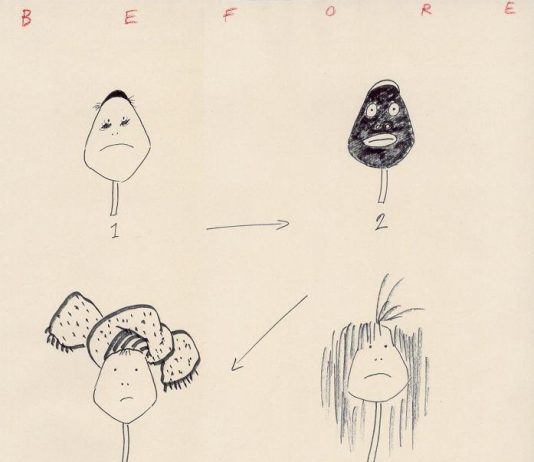 Maddalena Sisto – Volevo le calze nuove