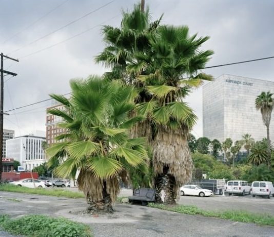 Niccolò Gandolfi / Stefano Zotti