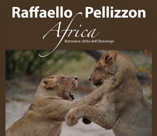 Raffaello Pellizzon – Africa Raffaello Pellizzon – Africa