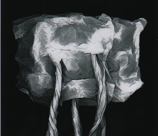 Ugo Salerno – Tra sformando