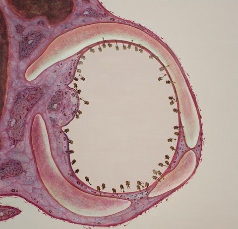 Alessandro Brighetti – Chambre de l’Invisible