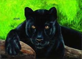 Donatella Ribezzo – Africa e dintorni