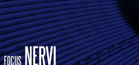 Focus Nervi #2 Focus Nervi #2