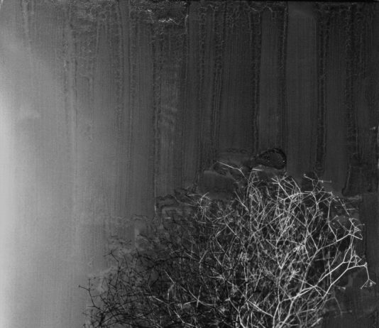 Franco Giacopino – Ex foto