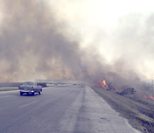 Max Cardelli – Havana