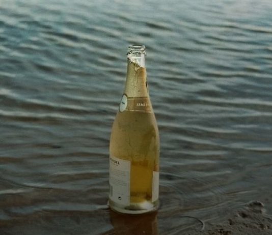 Michelangelo Consani – La festa è finita