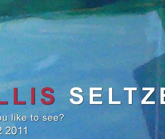 Phyllis Seltzer – What would you like to see?