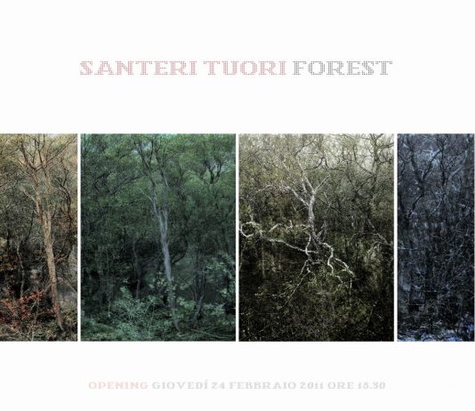 Santeri Tuori – Forest