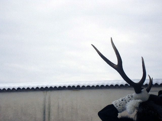 Segue dibattito 2011 – Giovane Arte in Pinacoteca Comunalehttps://www.exibart.com/repository/media/eventi/2011/01/segue-dibattito-2011-8211-giovane-arte-in-pinacoteca-comunale.jpg