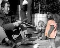 Carla Paiolo – Code/365