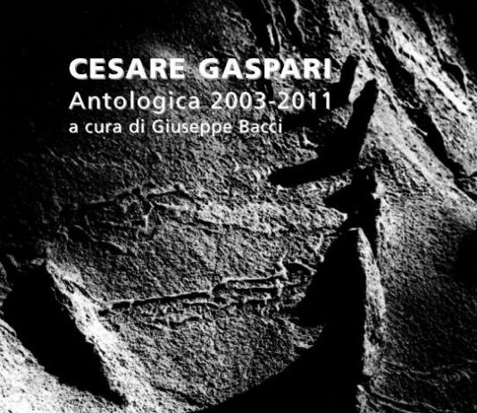 Cesare Gaspari – Antologica 2003-2011