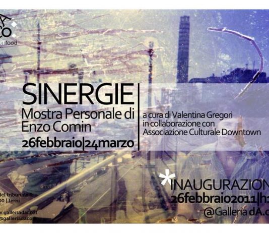 Enzo Comin – Sinergie