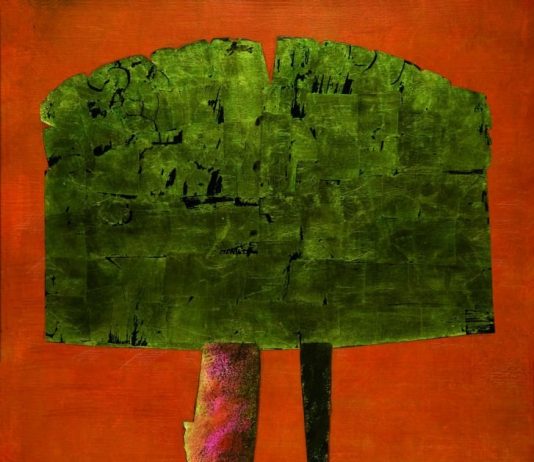 Luciana Cicogna – Auree oscillazioni