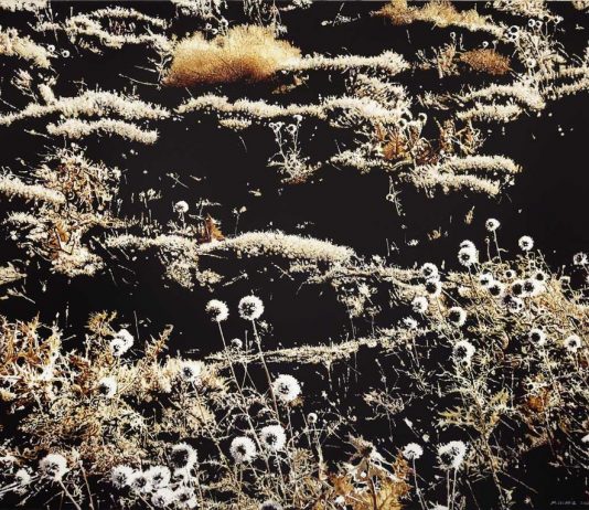 Mahmut Celayir – L’après midi d’un faune