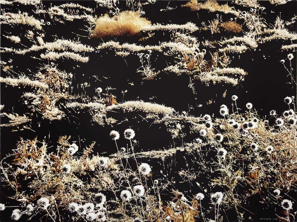 Mahmut Celayir – L’après midi d’un faunehttps://www.exibart.com/repository/media/eventi/2011/02/mahmut-celayir-8211-l8217après-midi-d8217un-faune.jpg