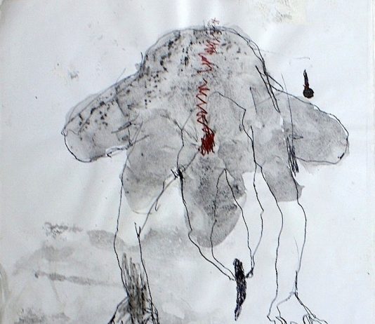 Marco Rossi – Cerebrale