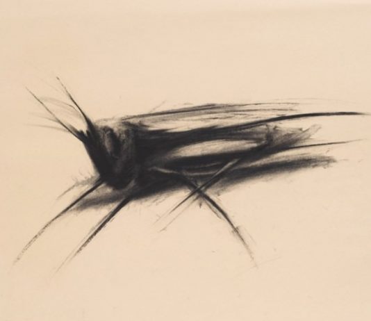 Massimo Canuti – Già sulle rive dello Xanto…