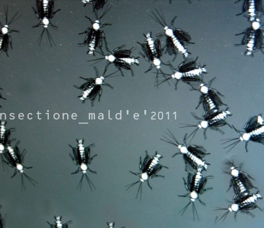 Matilde De Feo / Tommaso Megale – Insectione Défiguration