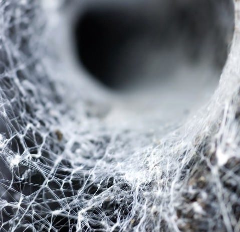 Nicolò Santangelo – La trama lucente Nicolò Santangelo – La trama lucente