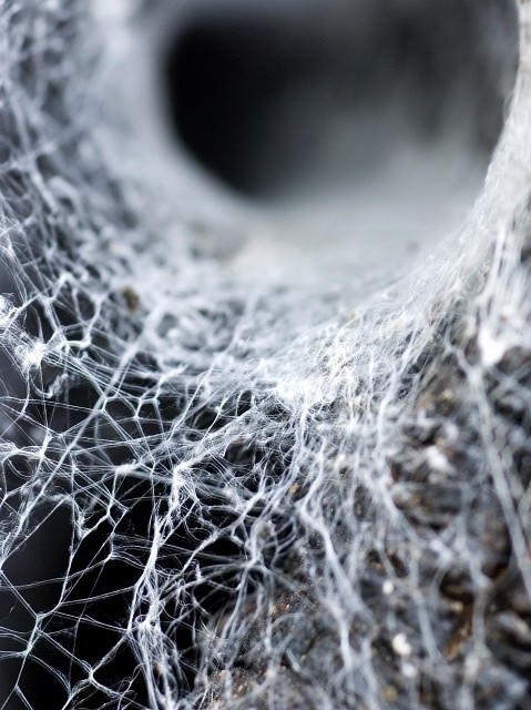 Nicolò Santangelo – La trama lucentehttps://www.exibart.com/repository/media/eventi/2011/02/nicolò-santangelo-8211-la-trama-lucente.jpg