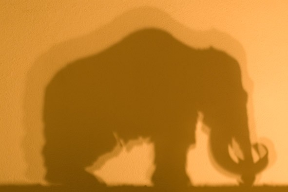 Davide Tranchina – Luci ombre e bugiehttps://www.exibart.com/repository/media/eventi/2011/03/davide-tranchina-8211-luci-ombre-e-bugie.jpg