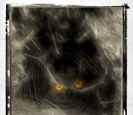 Maria Bartocci – Riflessi d’ombra