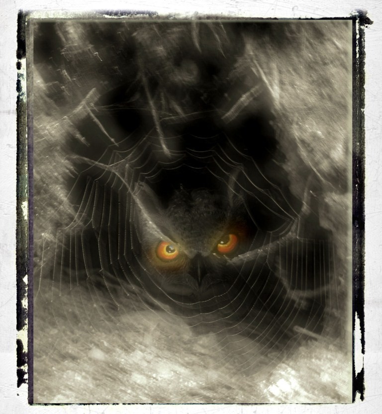 Maria Bartocci – Riflessi d’ombrahttps://www.exibart.com/repository/media/eventi/2011/03/maria-bartocci-8211-riflessi-d8217ombra-1.jpg