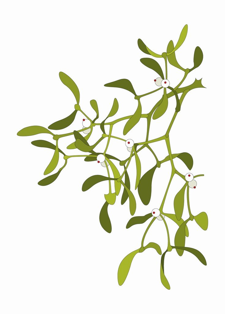 Massimo Dalla Pola – Minima anthologicahttps://www.exibart.com/repository/media/eventi/2011/03/massimo-dalla-pola-8211-minima-anthologica.jpg