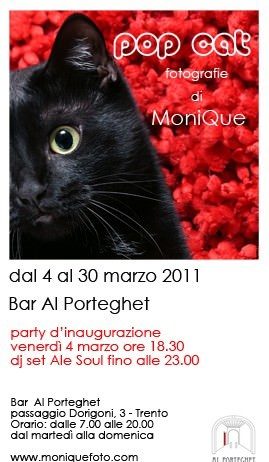 MoniQue – Pop Cat MoniQue – Pop Cat