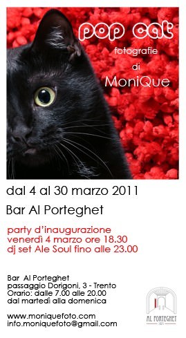 MoniQue – Pop Cathttps://www.exibart.com/repository/media/eventi/2011/03/monique-8211-pop-cat.jpg