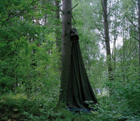 Stefano Baracetti / Cristiano Guerri – Molto Raramente Estinta